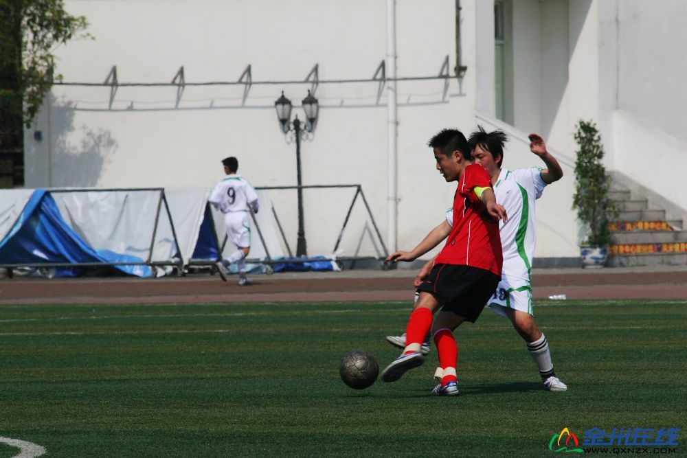 IMG_6245.jpg