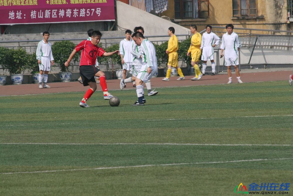 IMG_6255.jpg