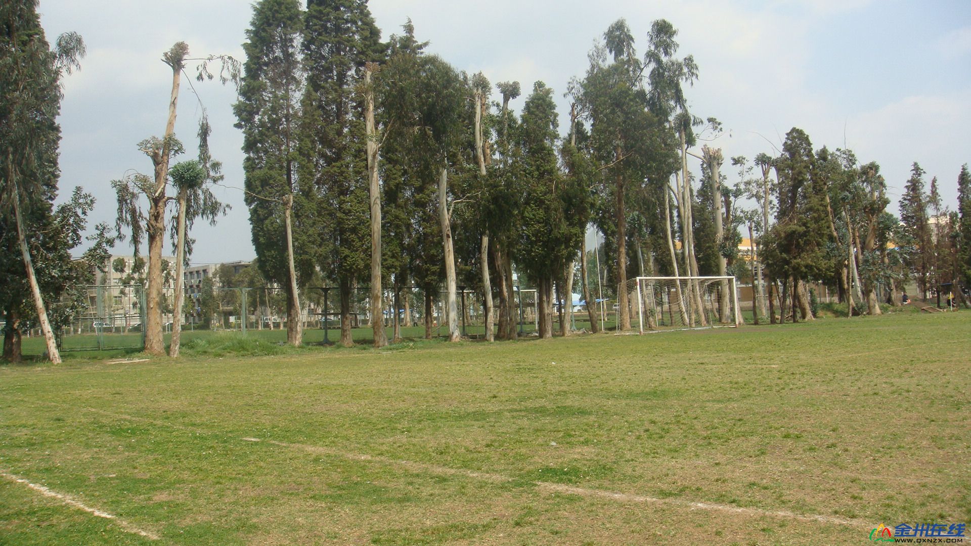 Ƭ 004.jpg