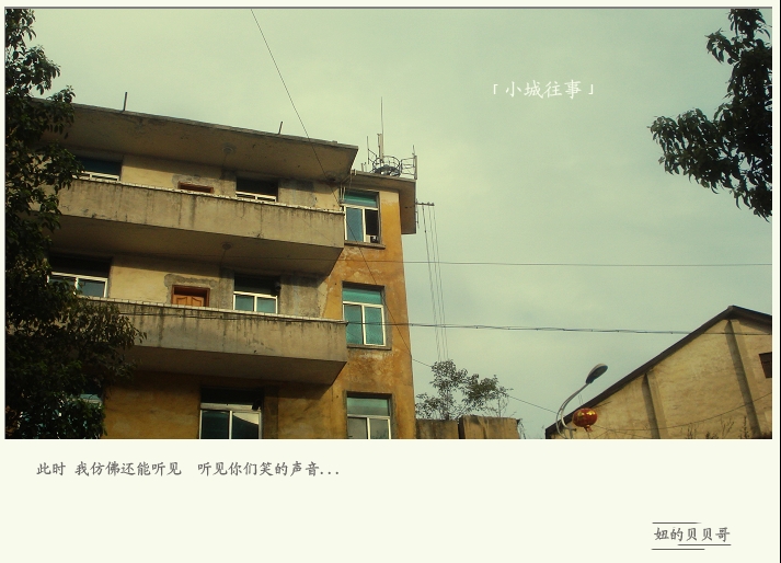 T.TAI2019.JPG