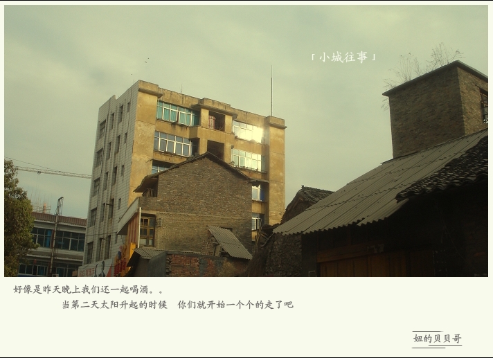 T.TAI2021.JPG