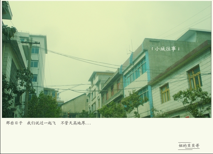 T.TAI2018.JPG