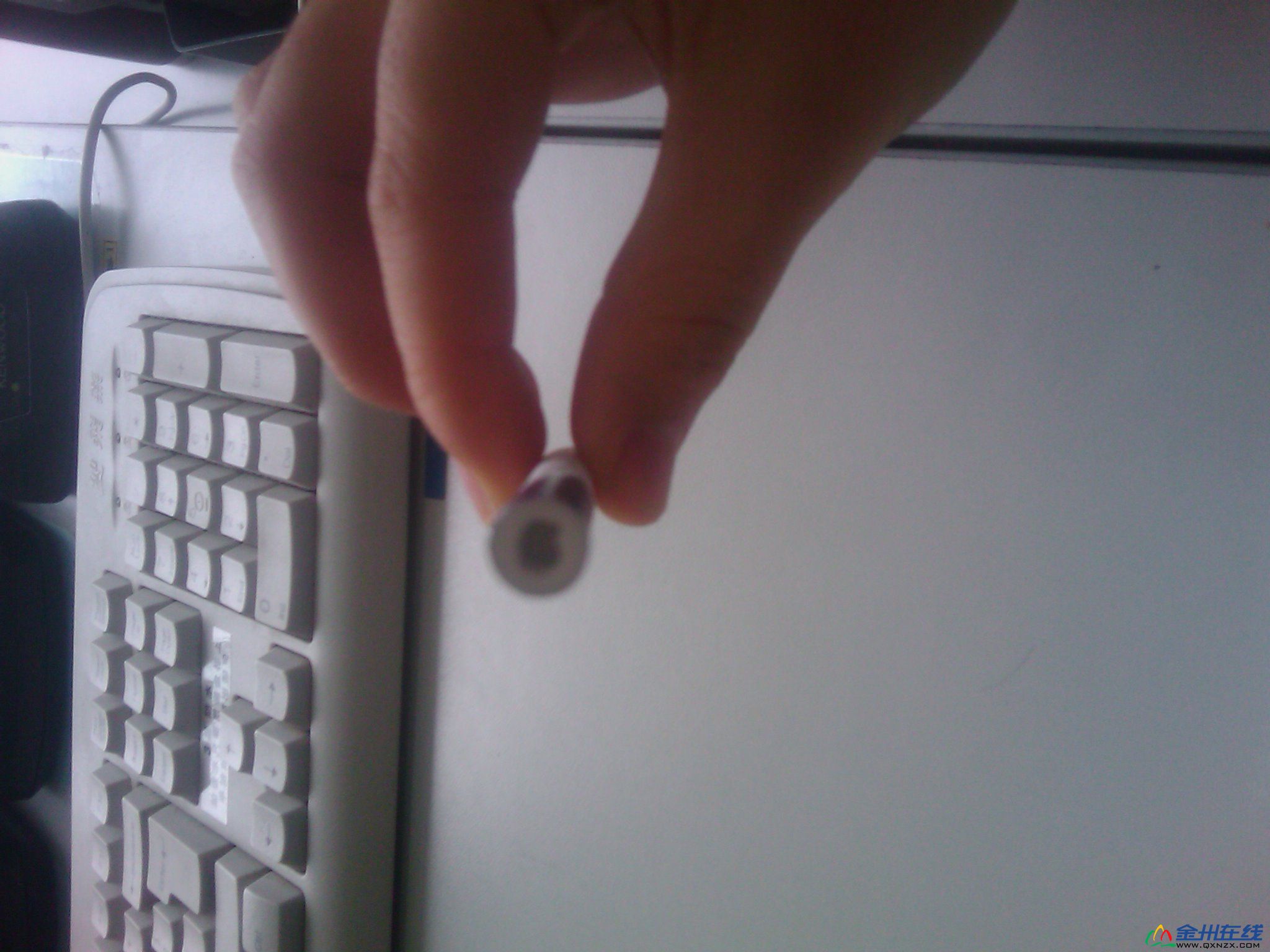IMAG0020.jpg