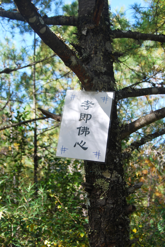 DSC_1126 .jpg