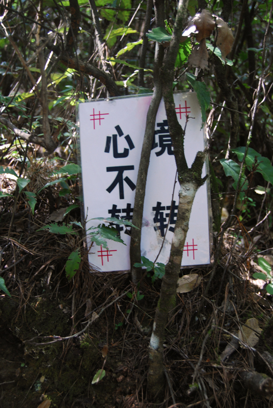 DSC_1118 .jpg