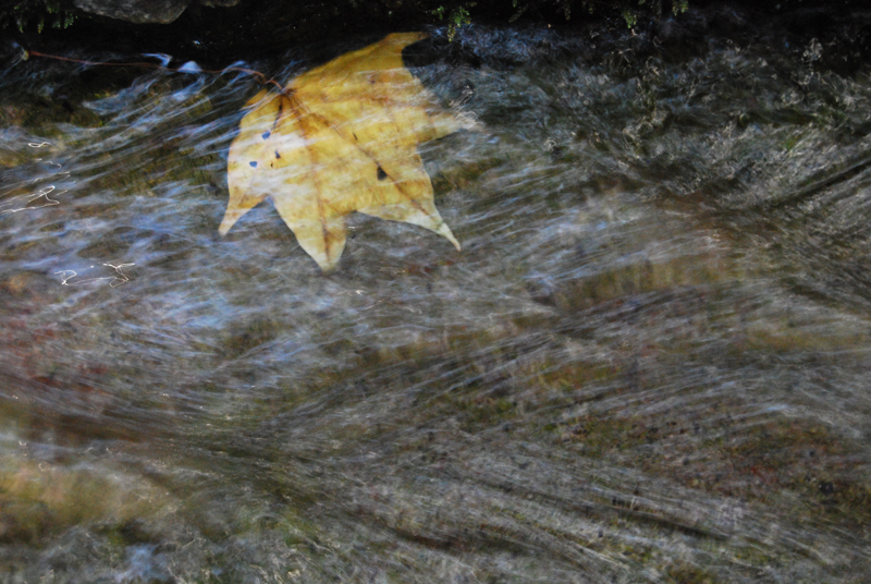 DSC_1108 .jpg