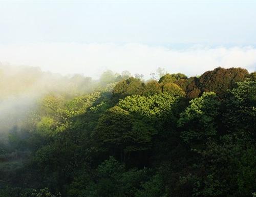 仙鹤坪自然保护区图片