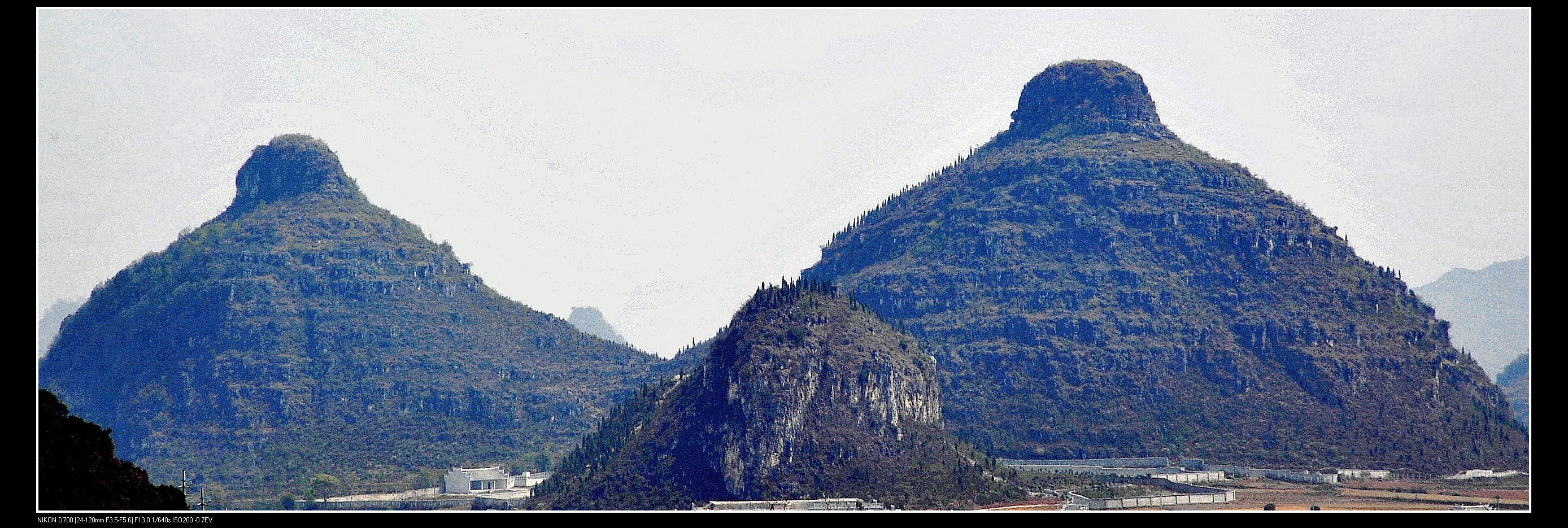 _DSC2007.JPG