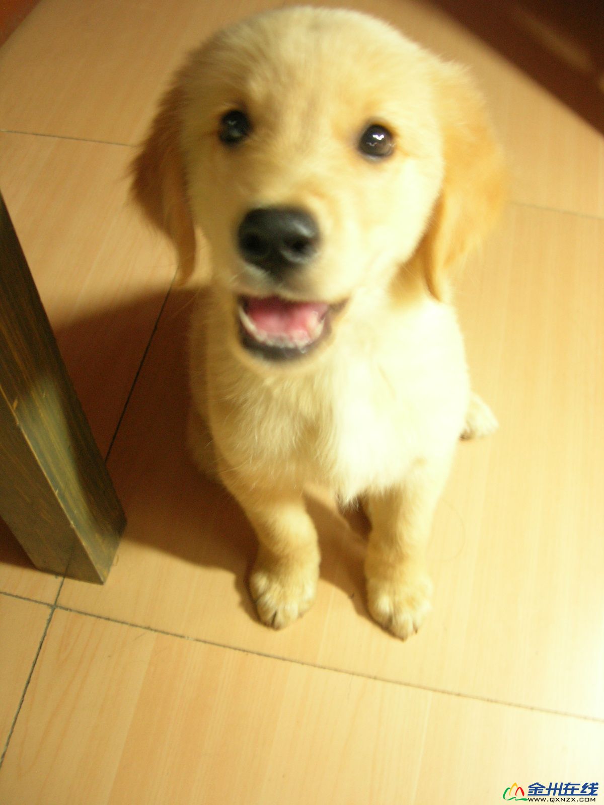 DSCN7840.JPG