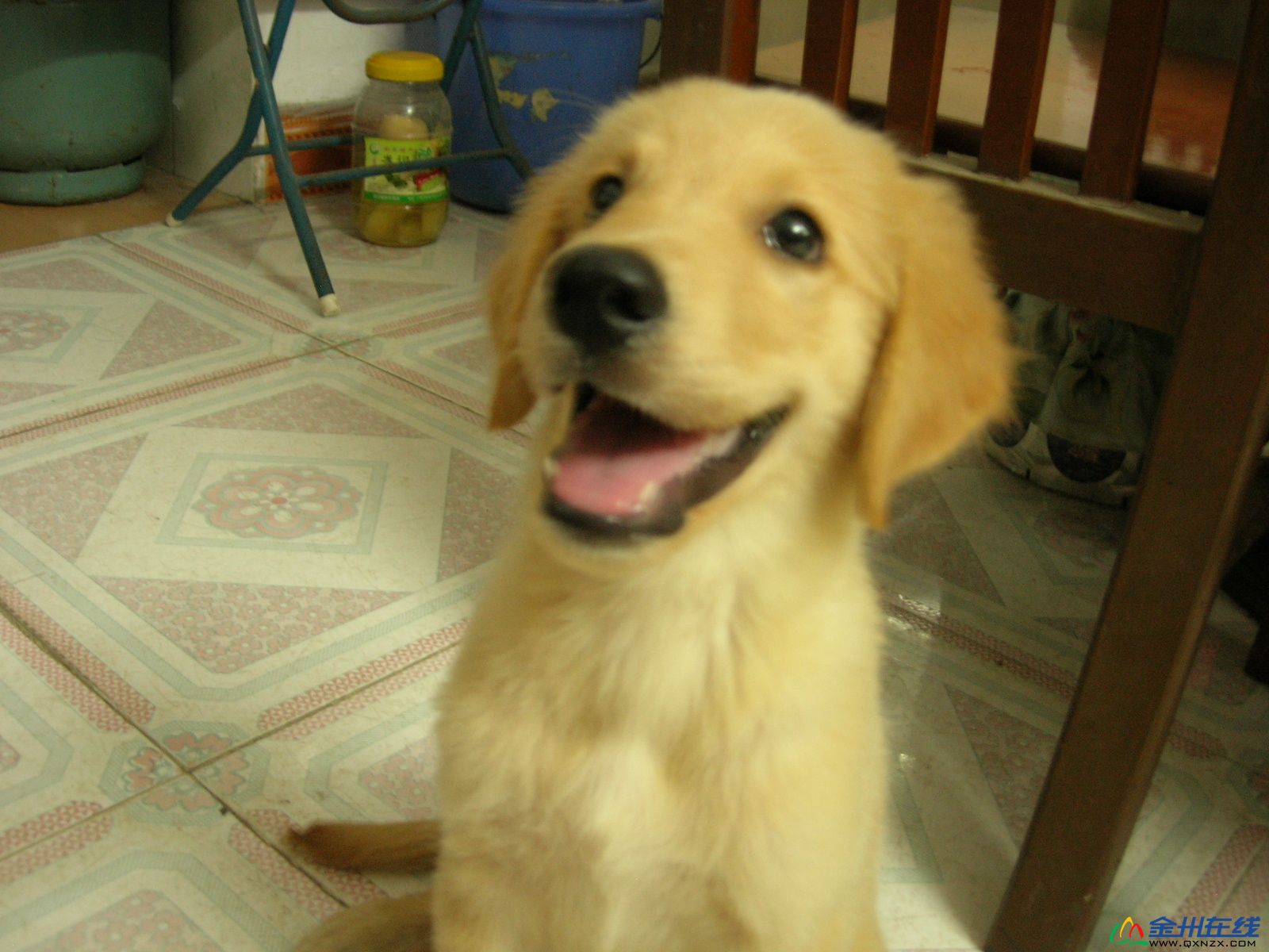 DSCN7966.JPG