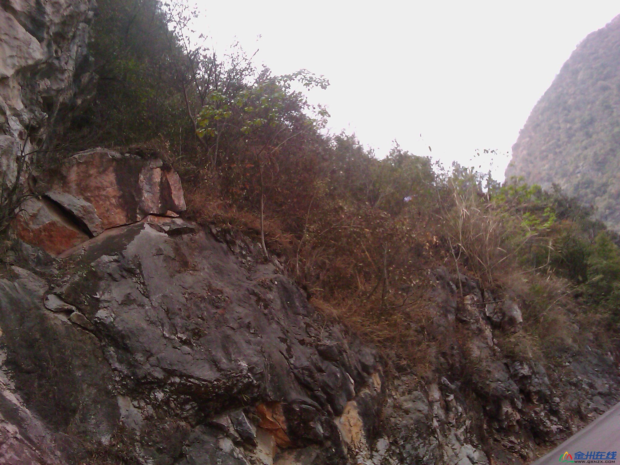 IMAG0005.jpg
