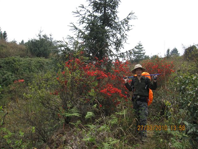 IMG_1314.JPG