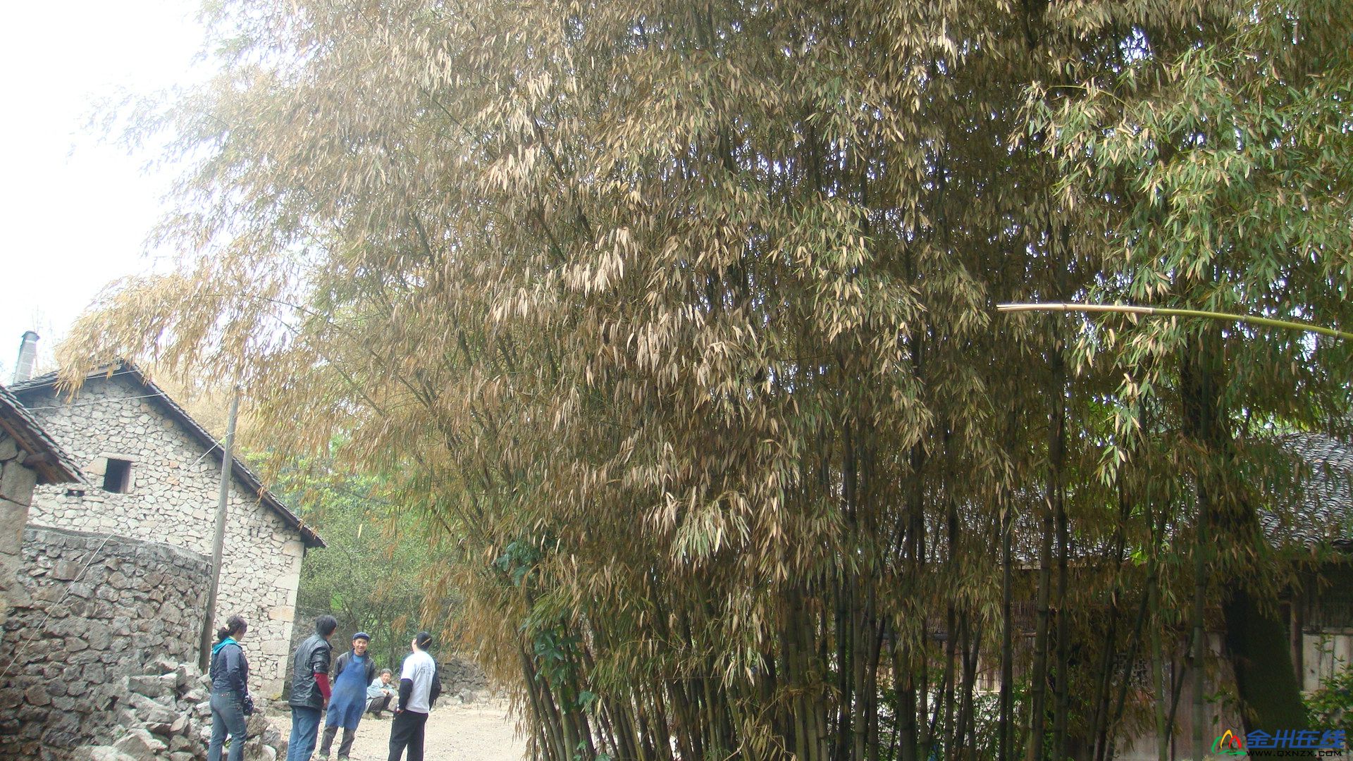 Ƭ 078.jpg