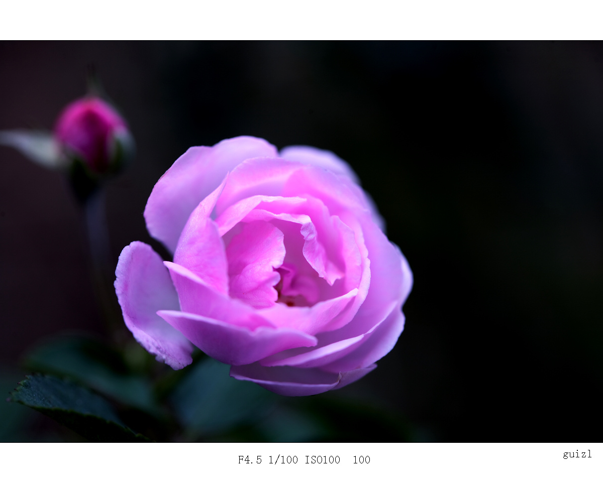IMG_2235.jpg