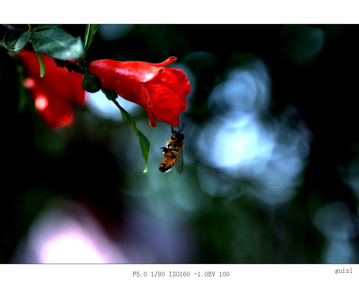 IMG_2390.jpg