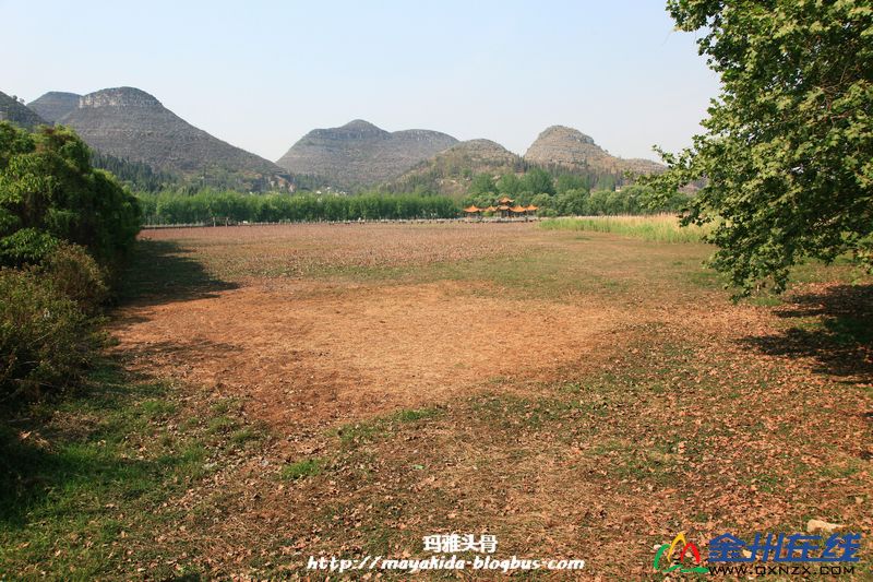 IMG 4930 ǩ.jpg
