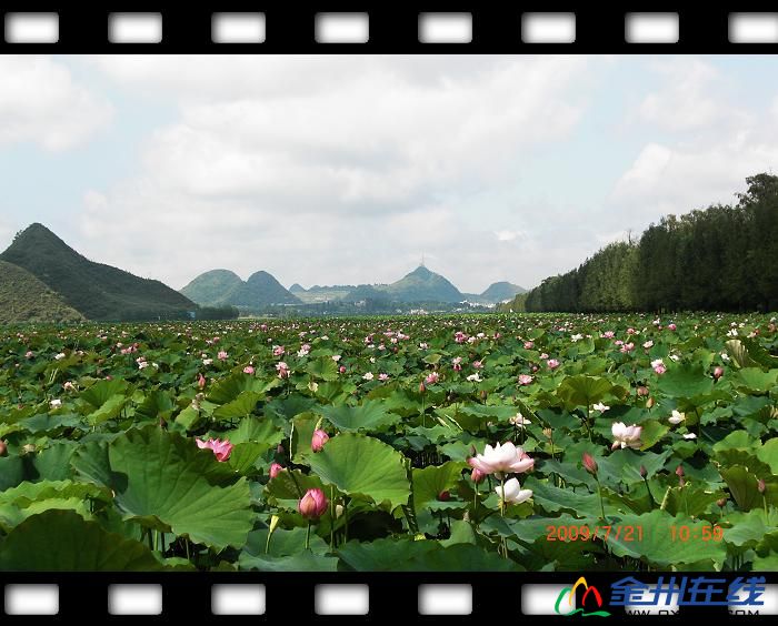 nEO_IMG_CIMG0525.jpg