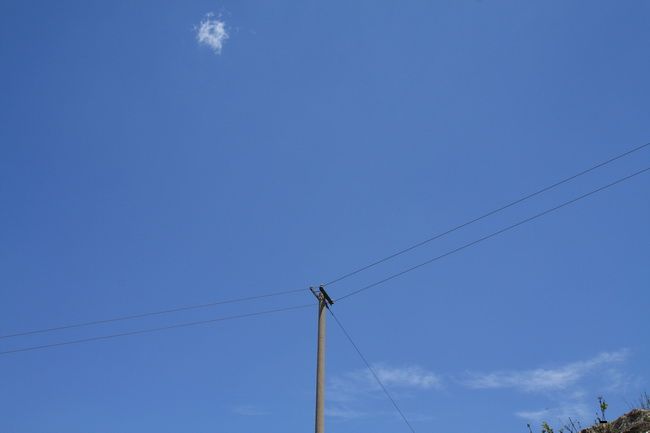 IMG_0358.jpg