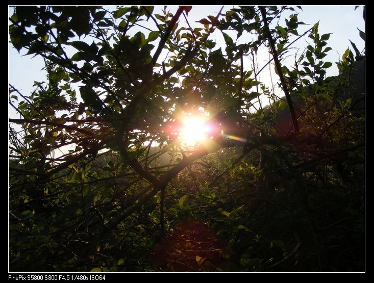 DSCF8131.jpg