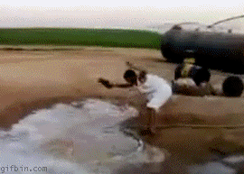 d11468824.gif