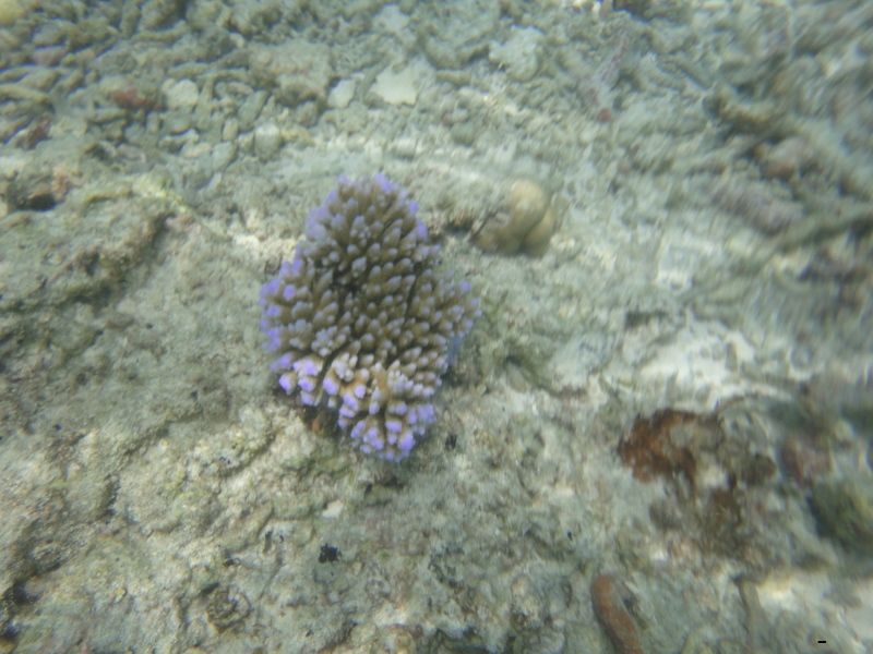 2010-05-29 044922_26.jpg