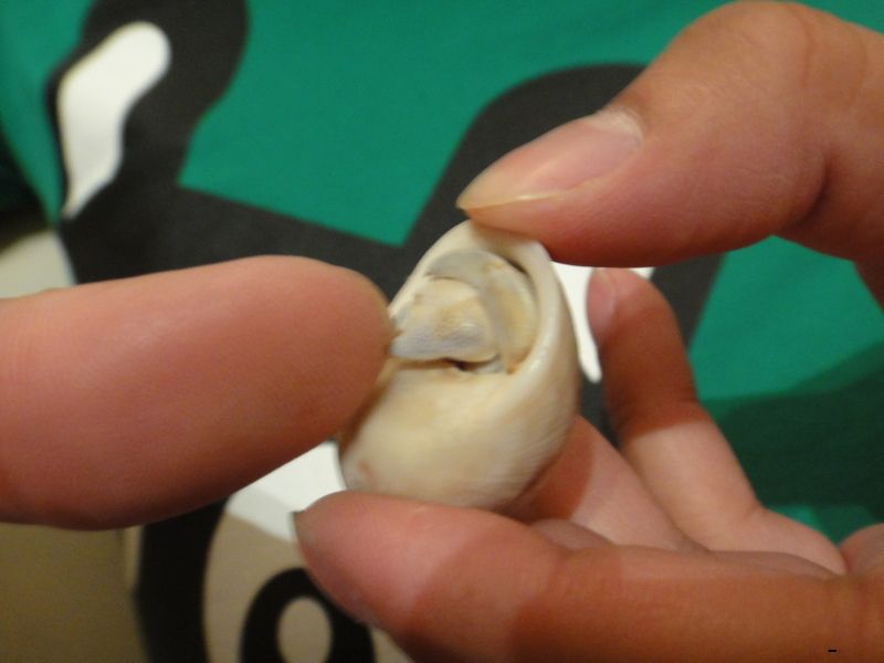 2010-05-29 044922_35.jpg