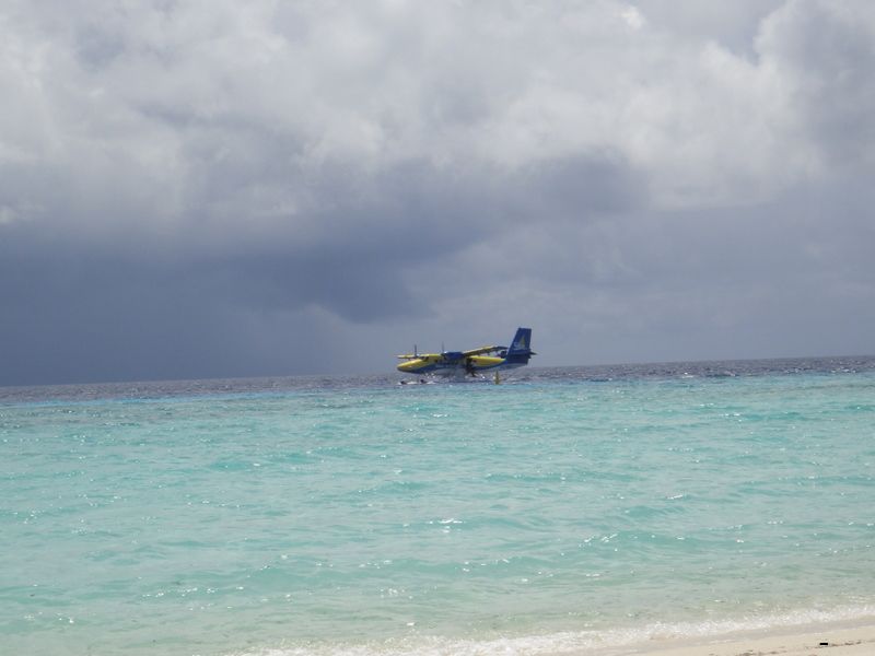 2010-05-29 044922_51.jpg