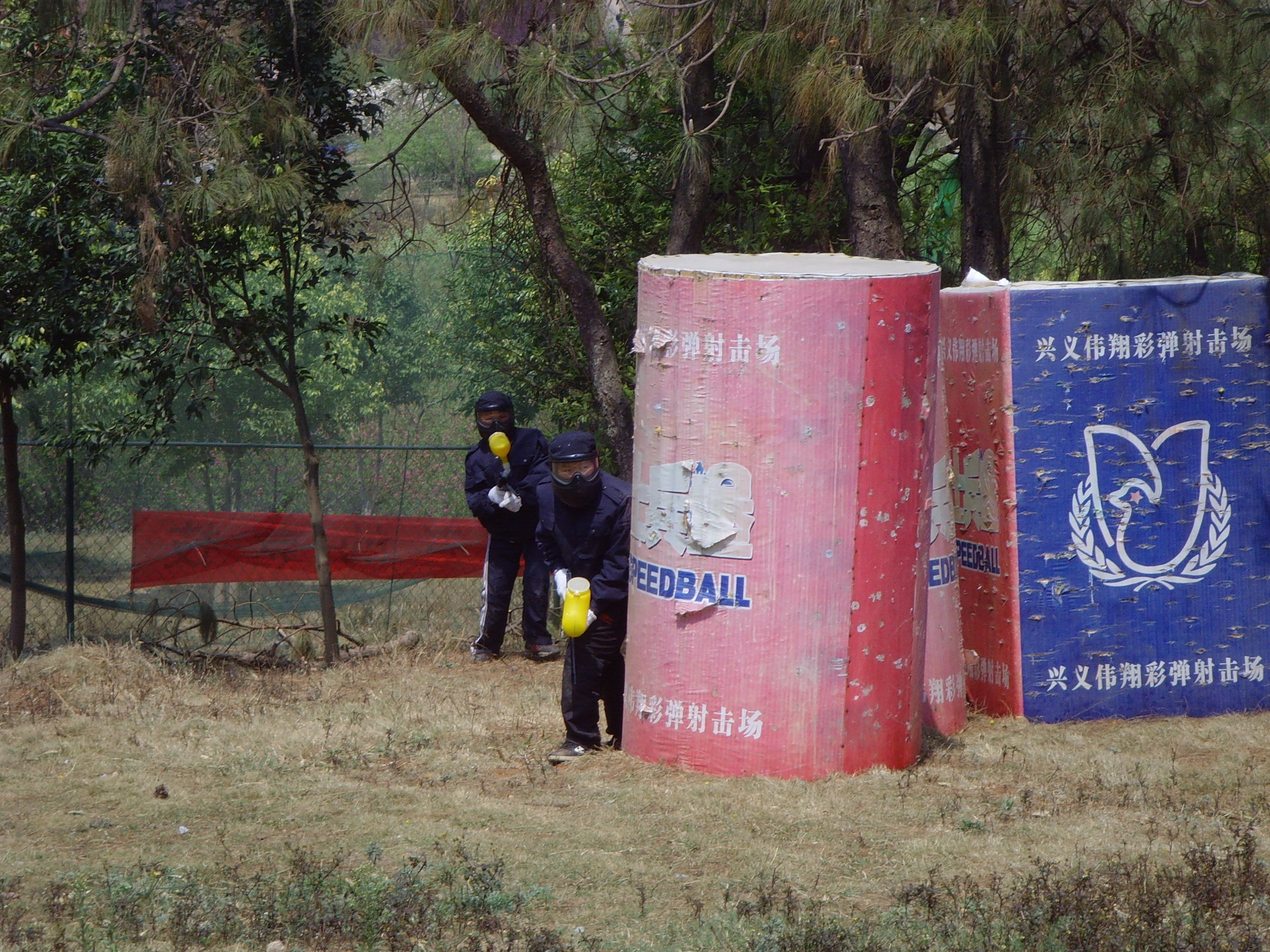 SNV34789.JPG