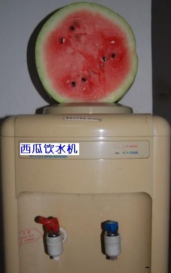 ḻŶ,ҿʲô?