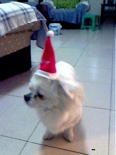 IMG0031A.jpg
