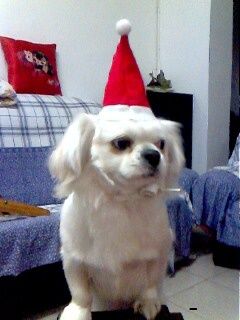 IMG0070A.jpg