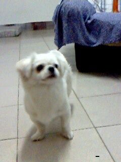 IMG0079A.jpg