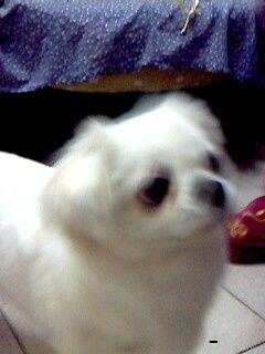IMG0077A.jpg