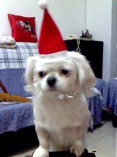 IMG0067A.jpg