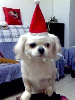 IMG0066A.jpg