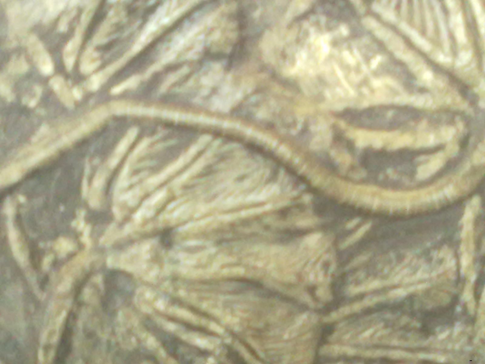 20100716015.jpg