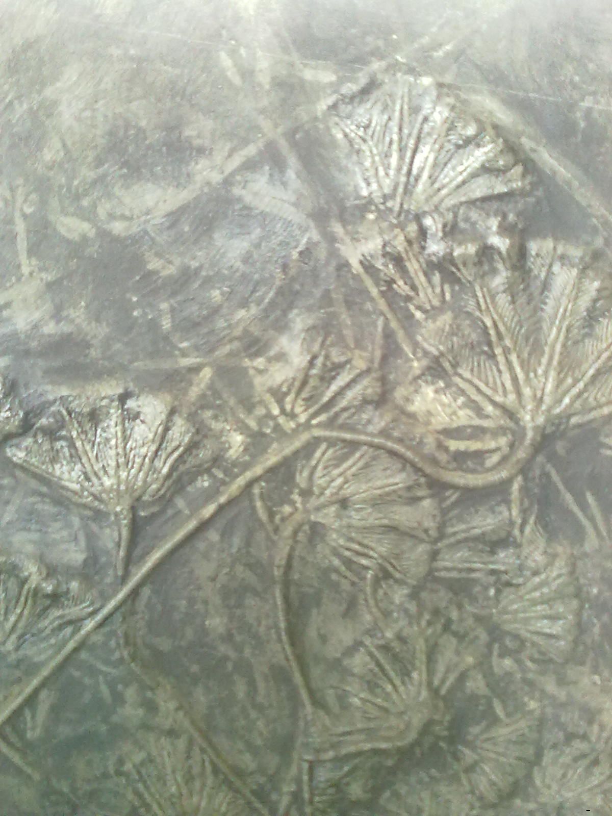20100716014.jpg