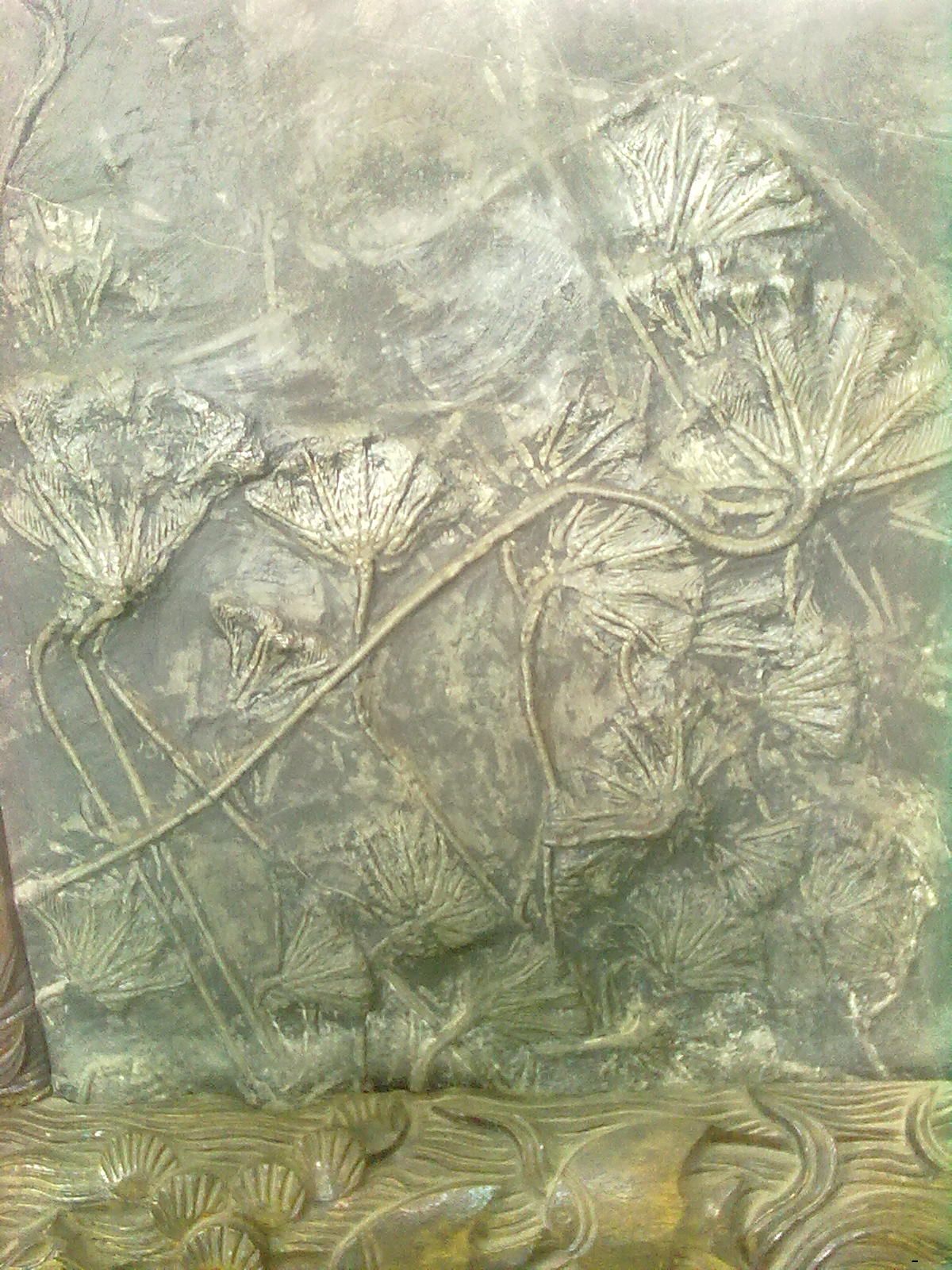 20100716017.jpg