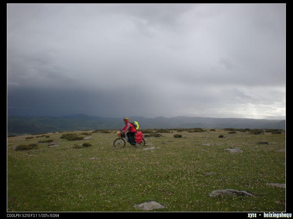 DSCN7133.jpg