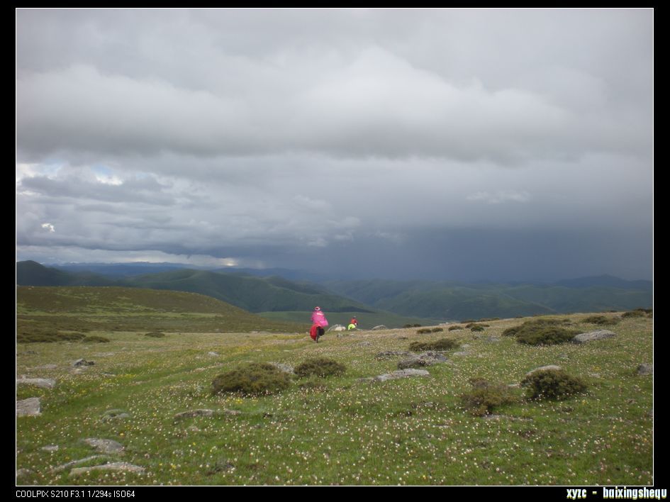DSCN7136.jpg
