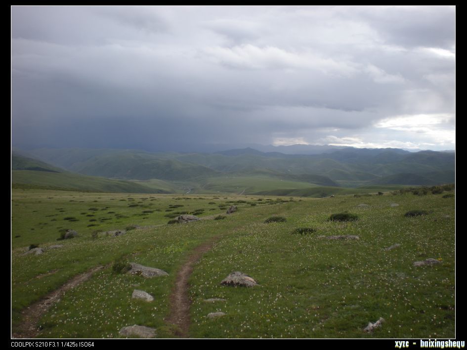 DSCN7145.jpg