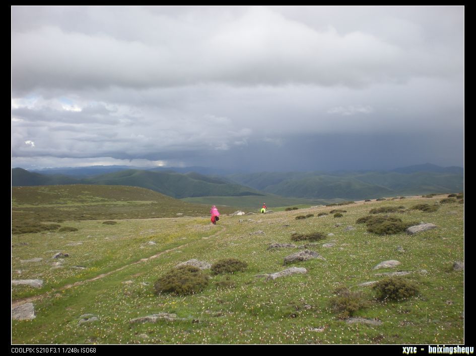 DSCN7137.jpg