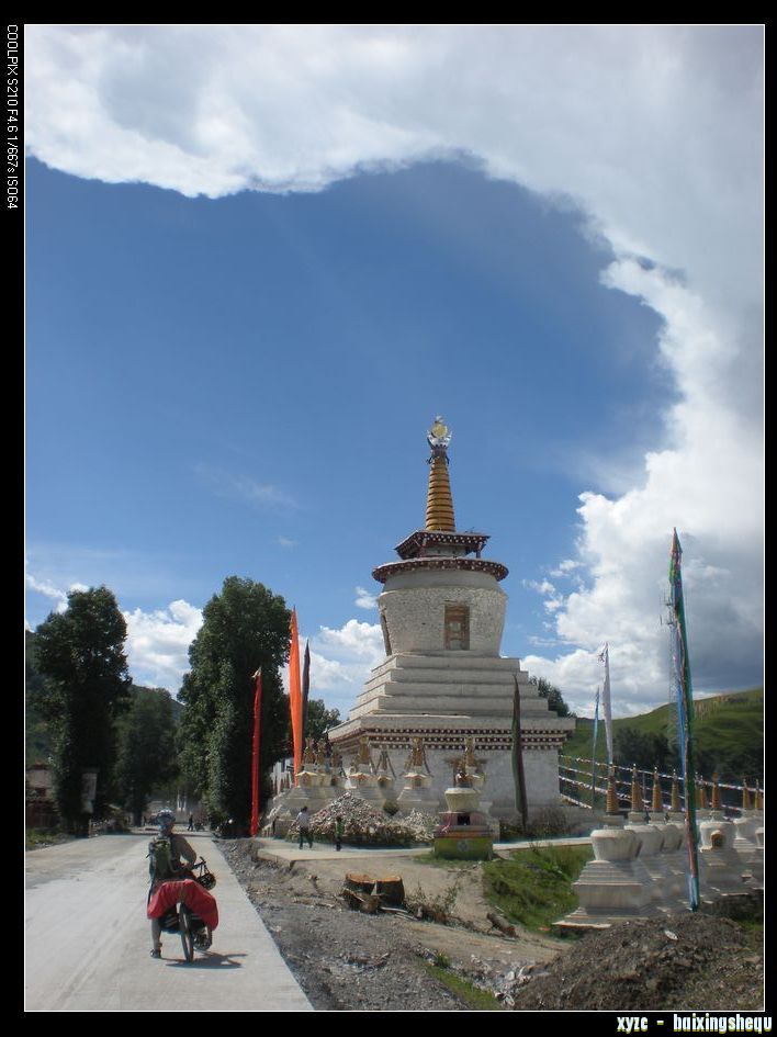 DSCN7217.jpg