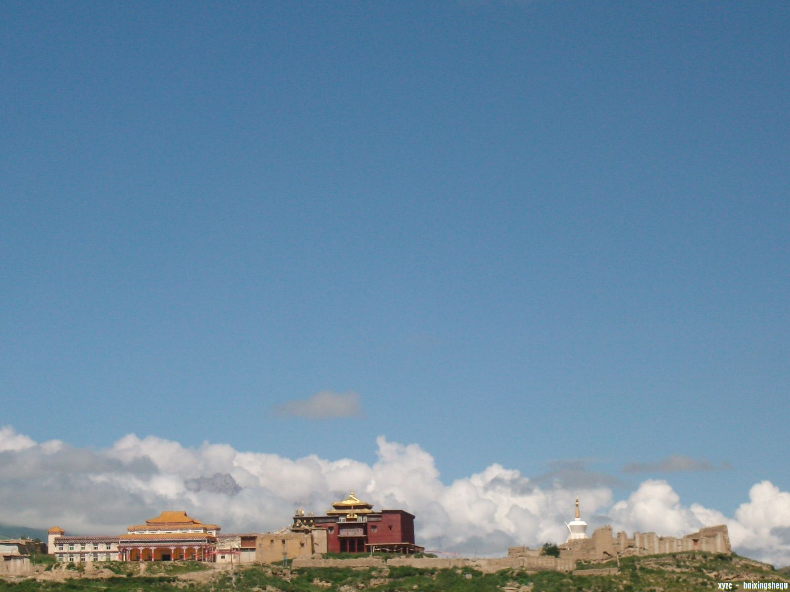 ALIM4090.JPG