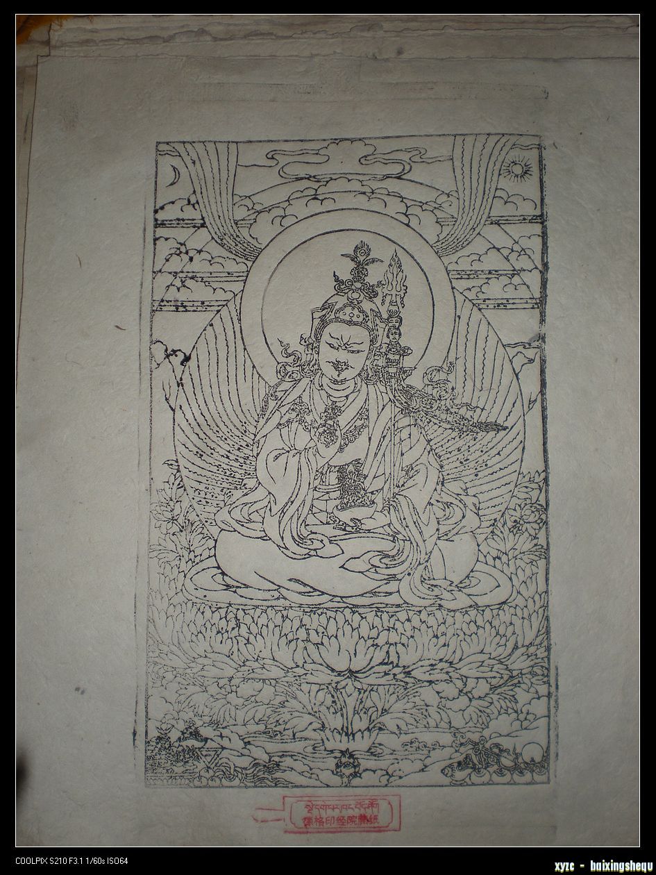 DSCN7710.jpg