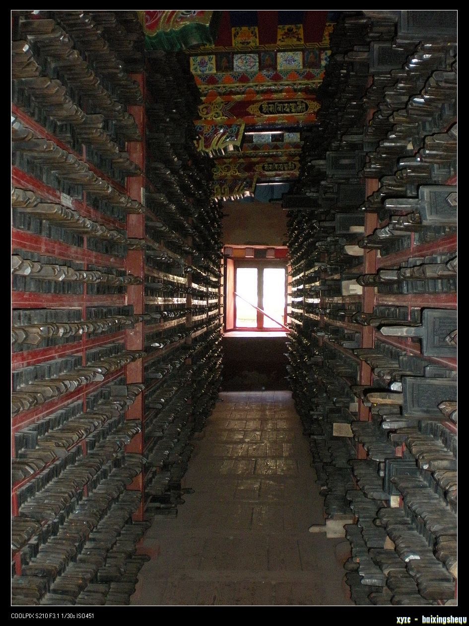 DSCN7706.jpg