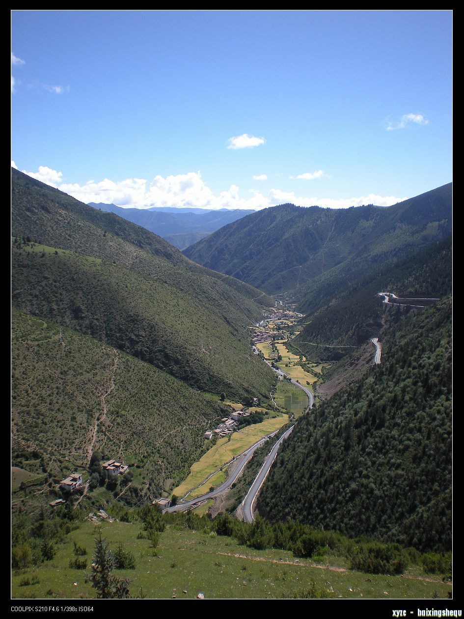 DSCN7901.jpg