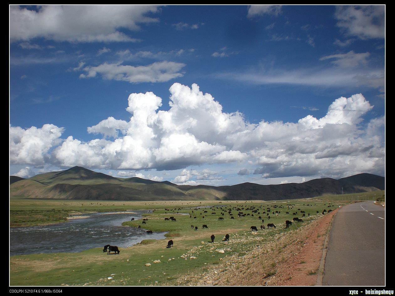 DSCN7948.jpg