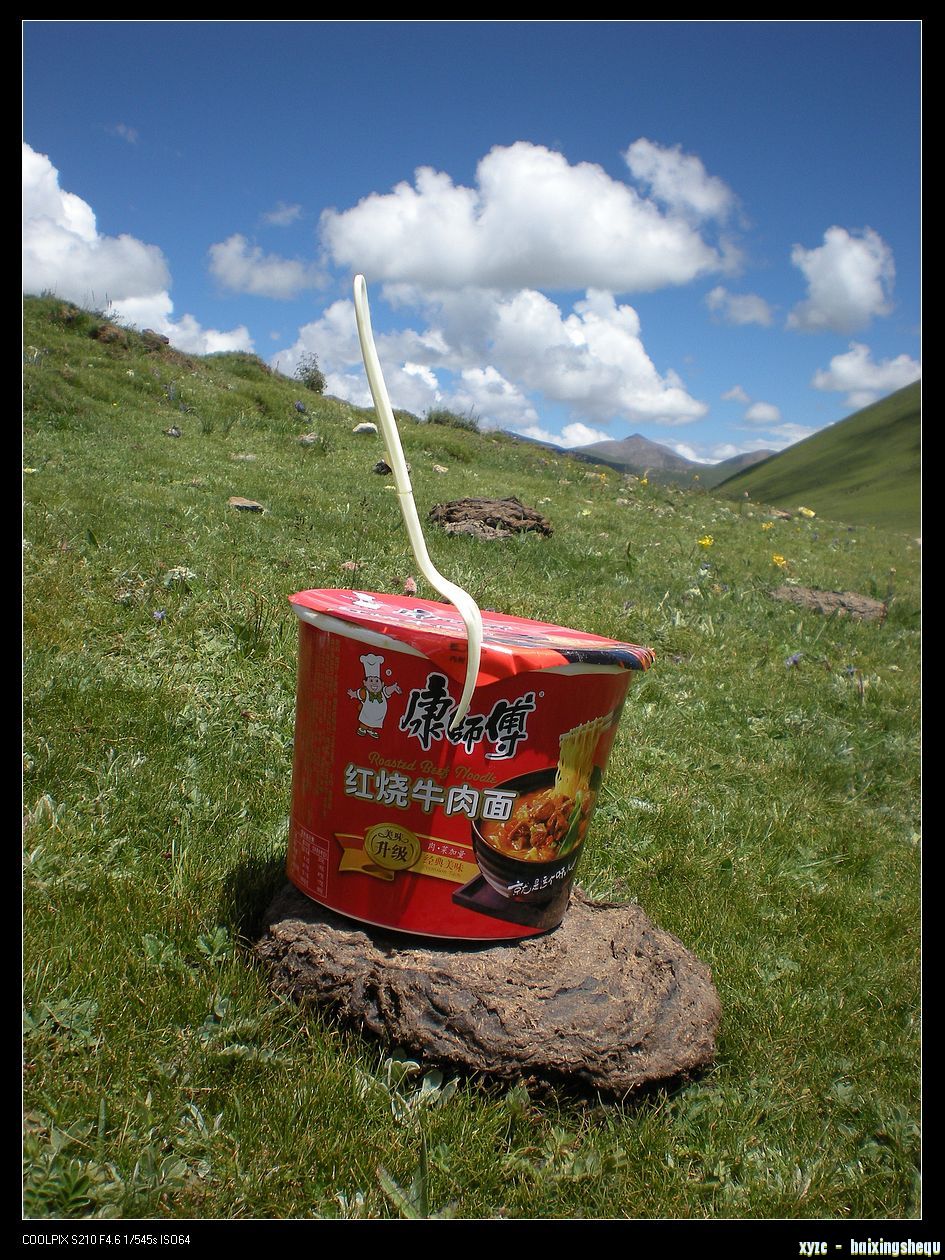 DSCN7917.jpg