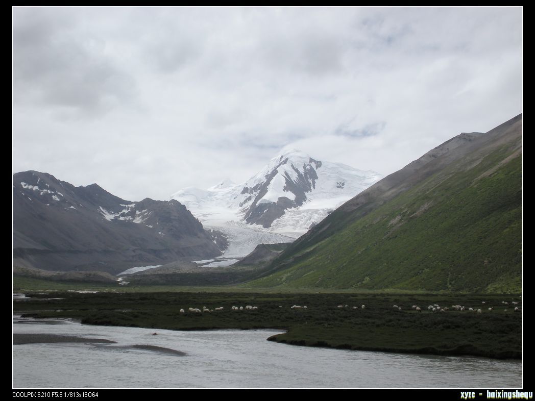 DSCN8093.jpg